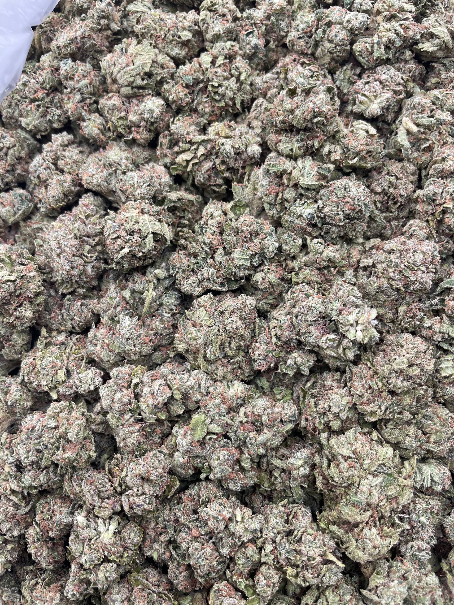 #H26C Loud Candy (DEP)
