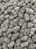 #H39B Candyland (INDOOR)