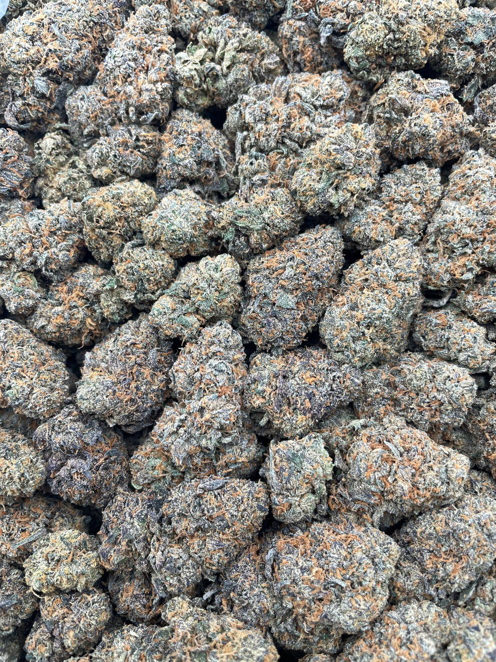 #G17B Runtz Taffy (INDOOR)