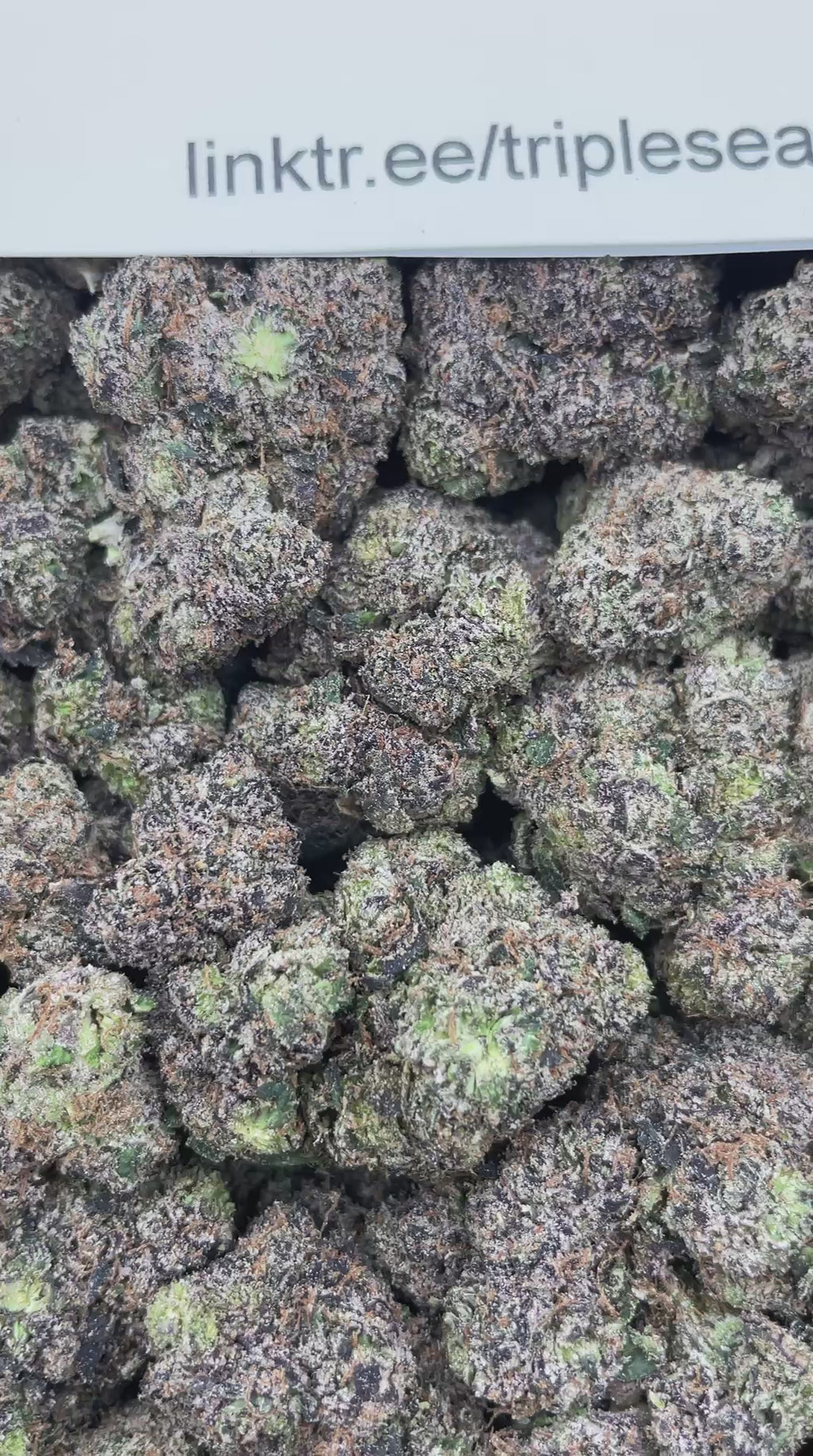 #R89T Watermelon Bubble Yum (INDOOR) (TERP INFUSED FLOWER)