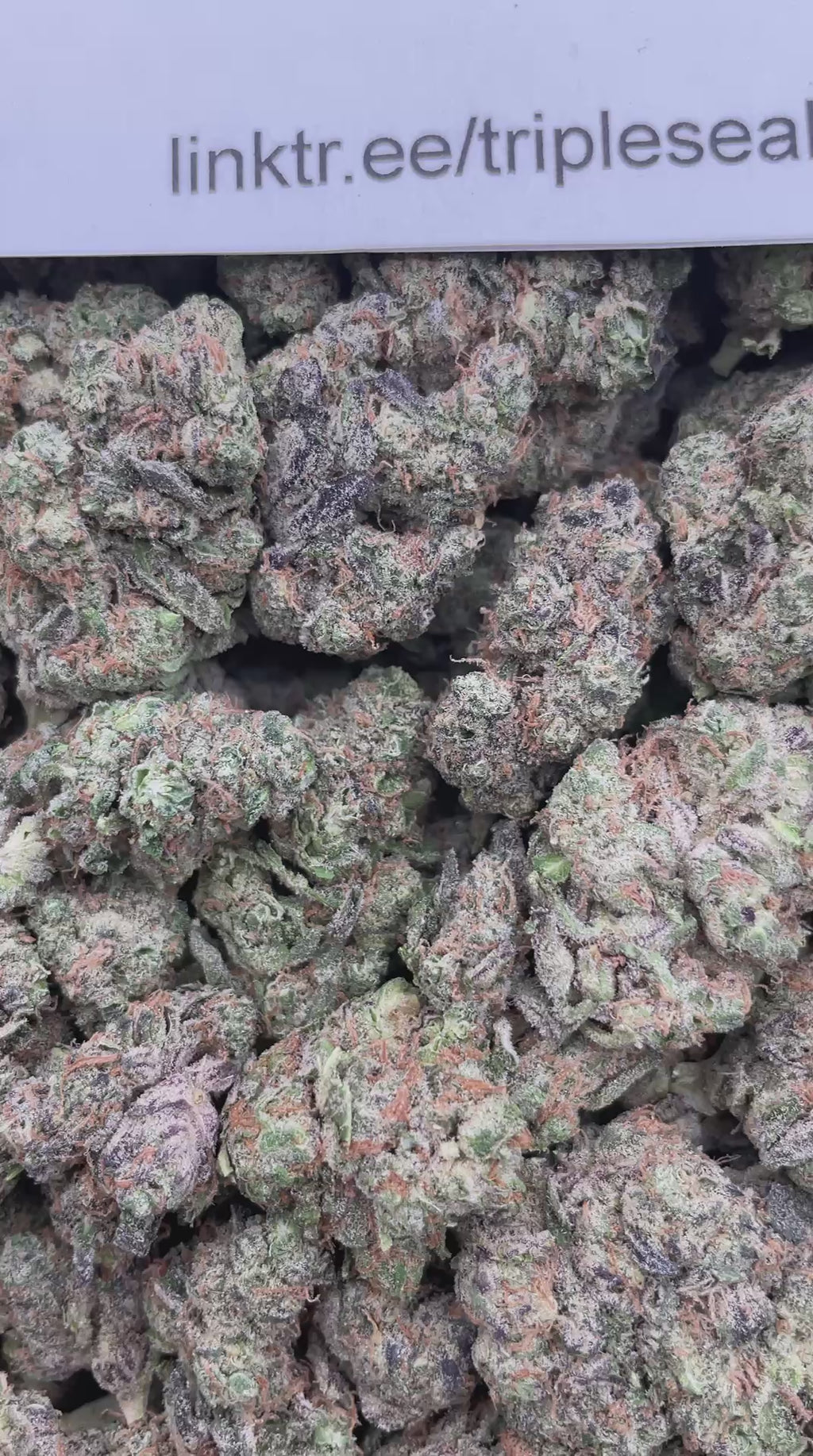 #E40A Cold Stone (INDOOR)