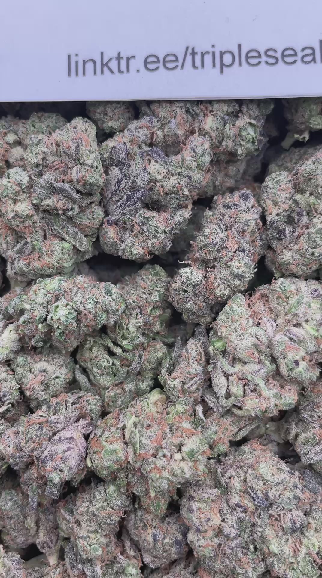 #E40A Cold Stone (INDOOR)