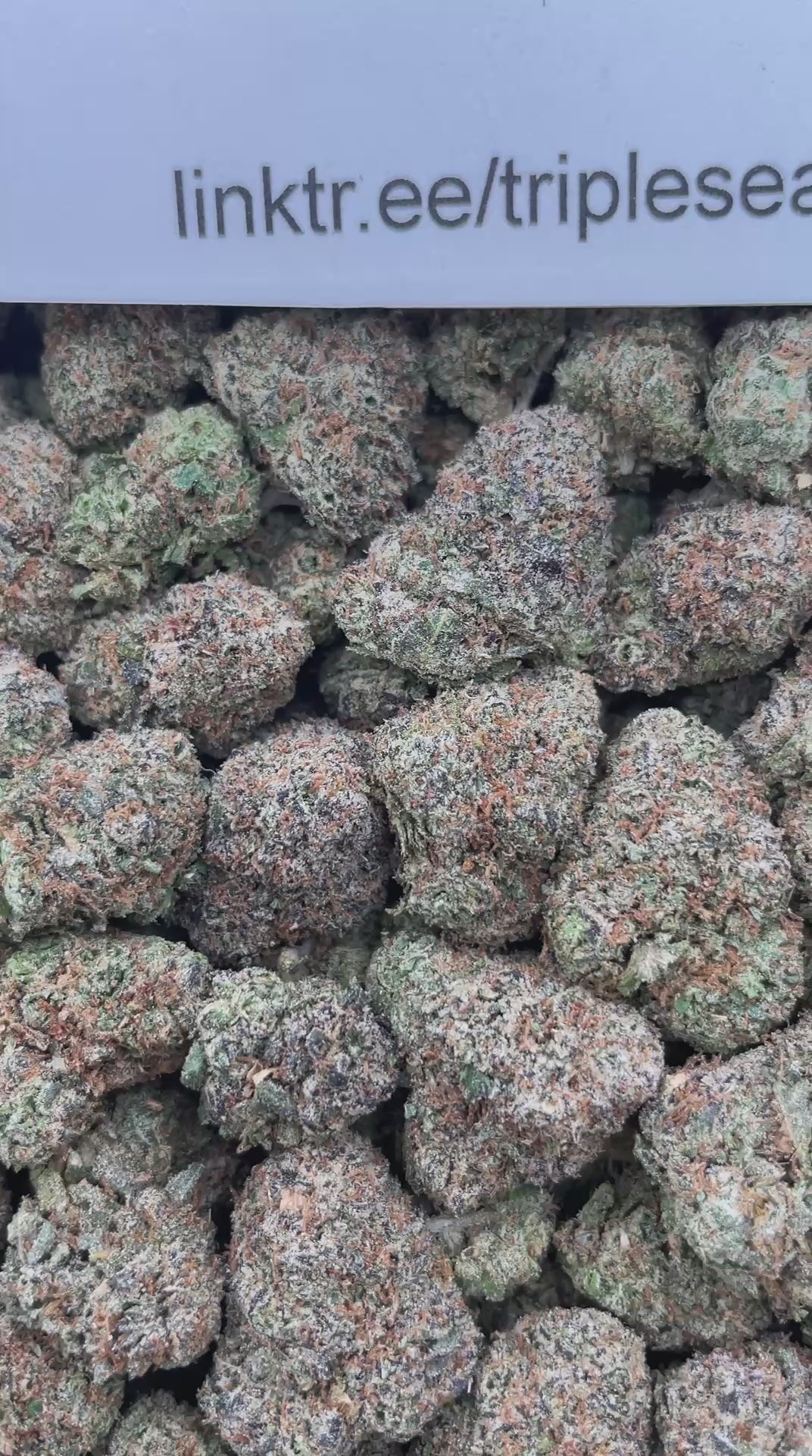 #F19C Lemon Cherry Tris (MEDIUMS)
