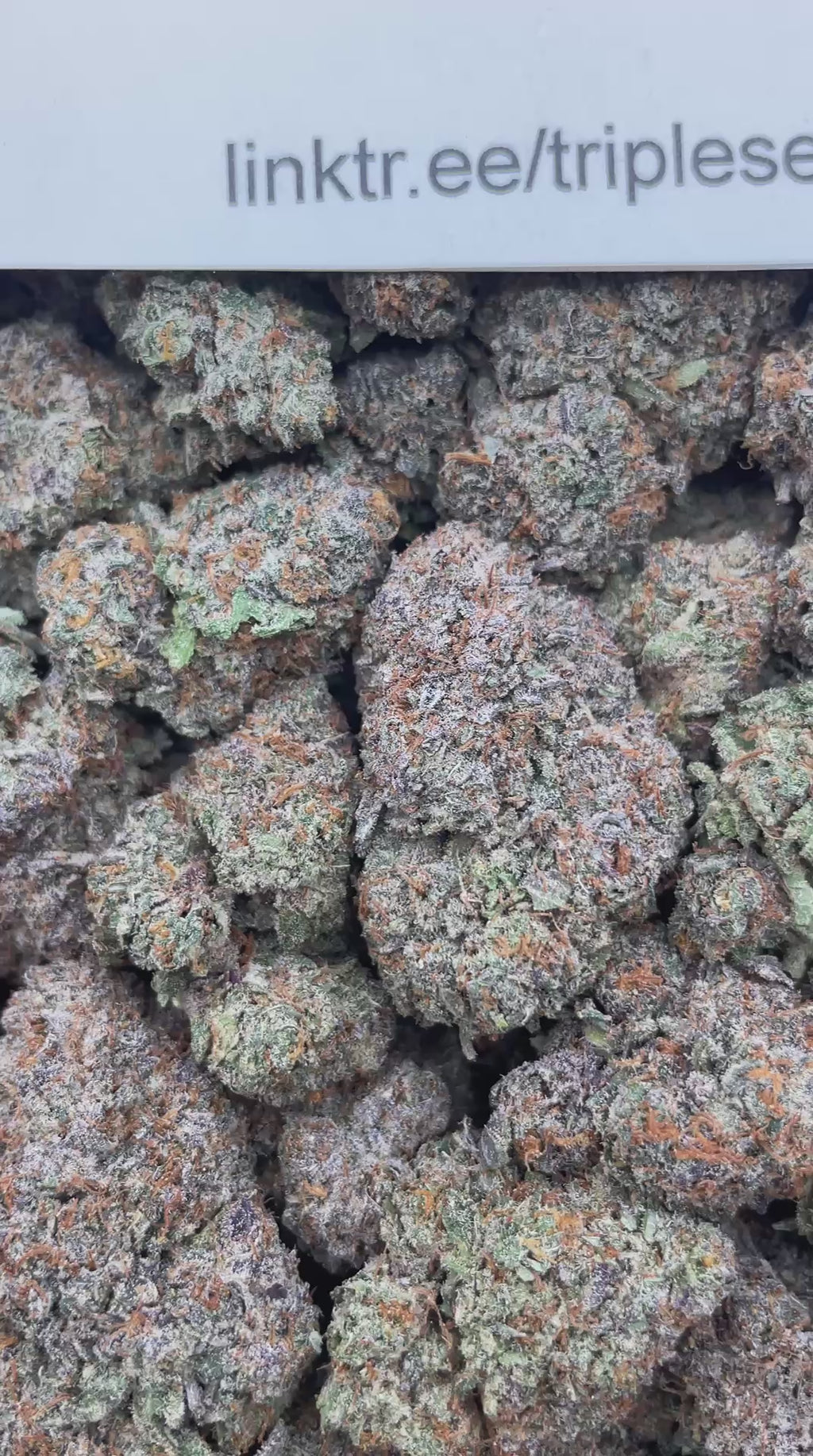 #H9B Oreo Runtz (INDOOR)