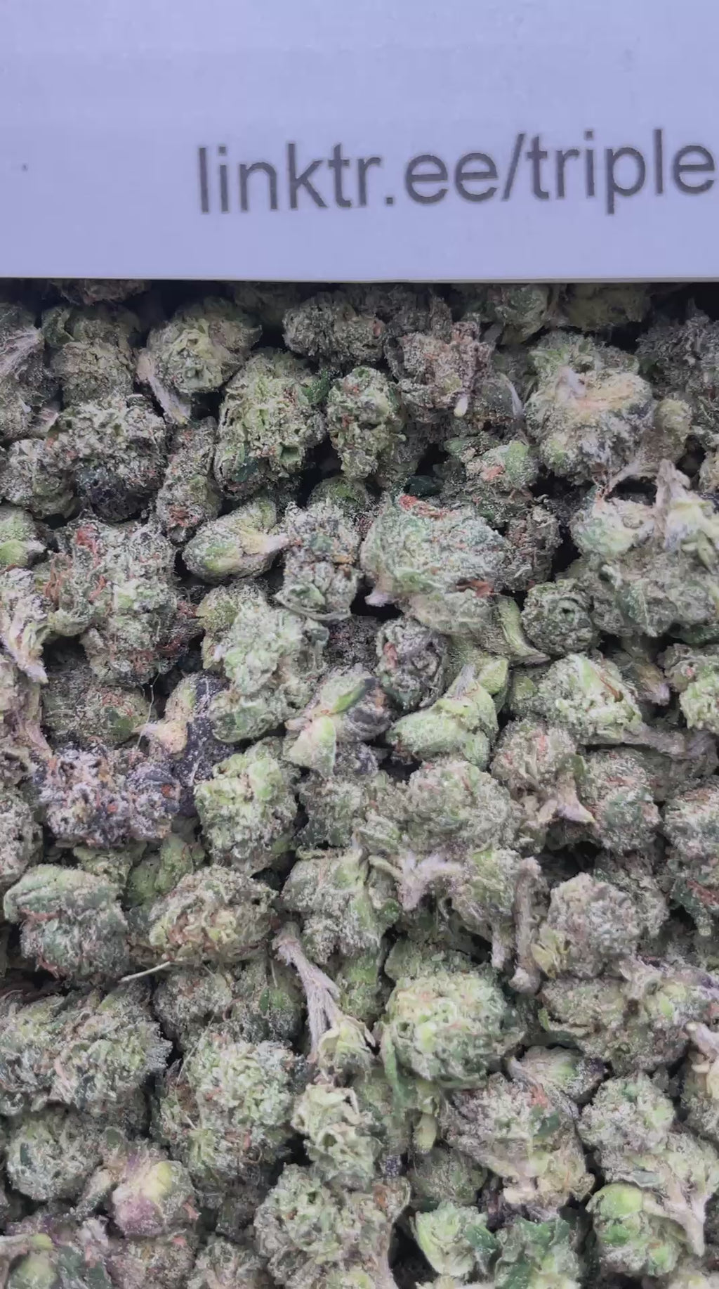 #F11C Candy Smackerz (SMALLS)