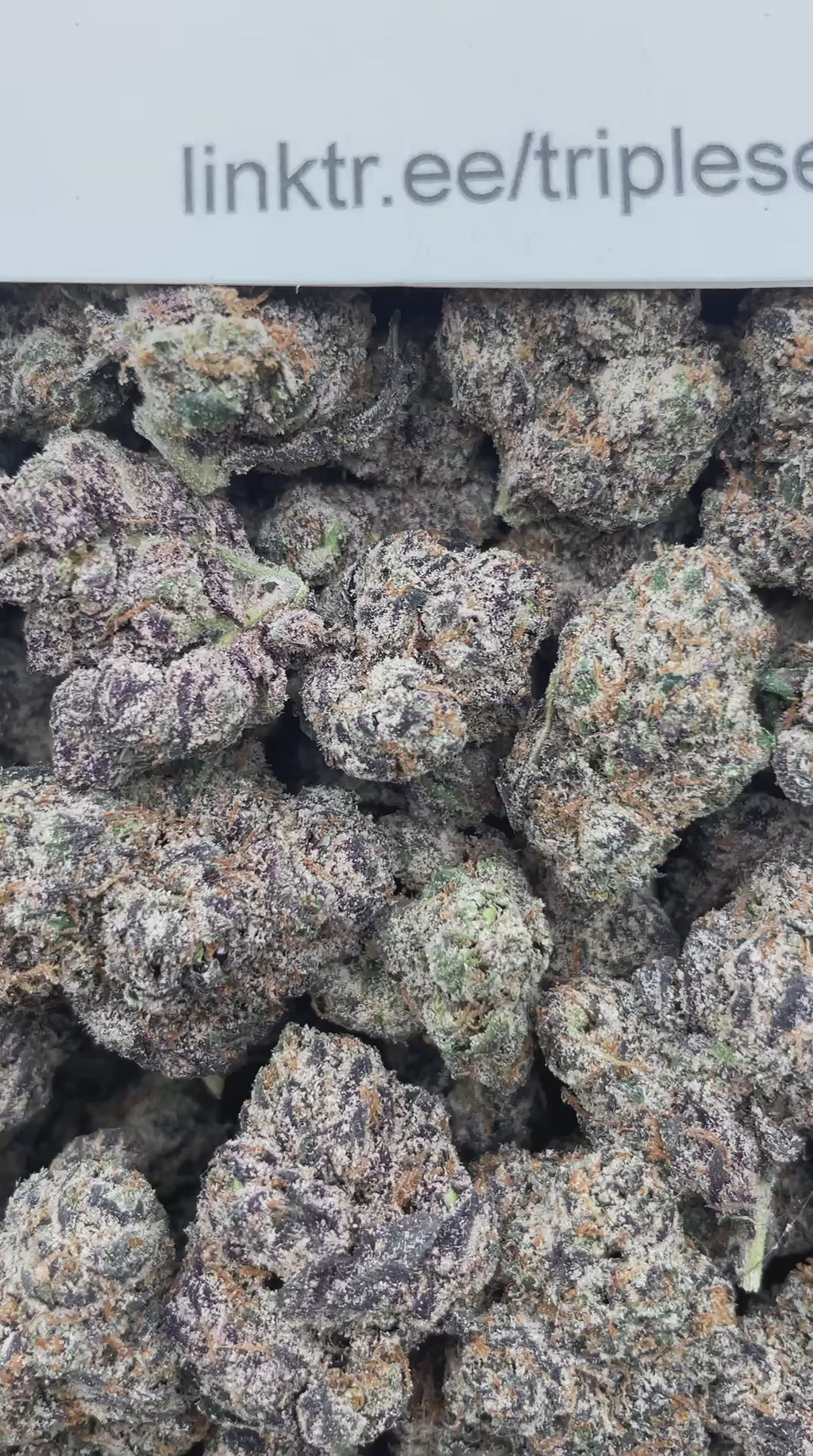 #R61T Crypto Candy (EXOTIC)