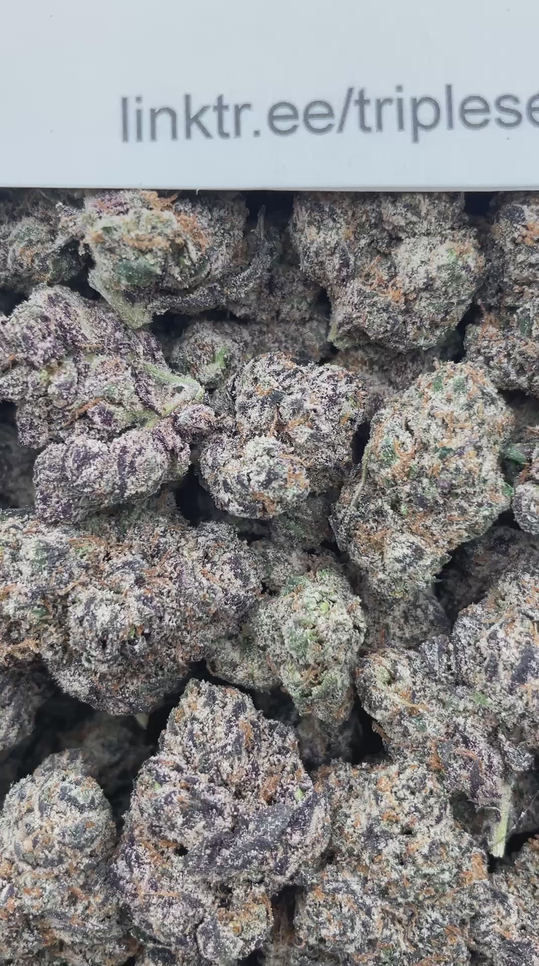 #R61T Crypto Candy (EXOTIC)