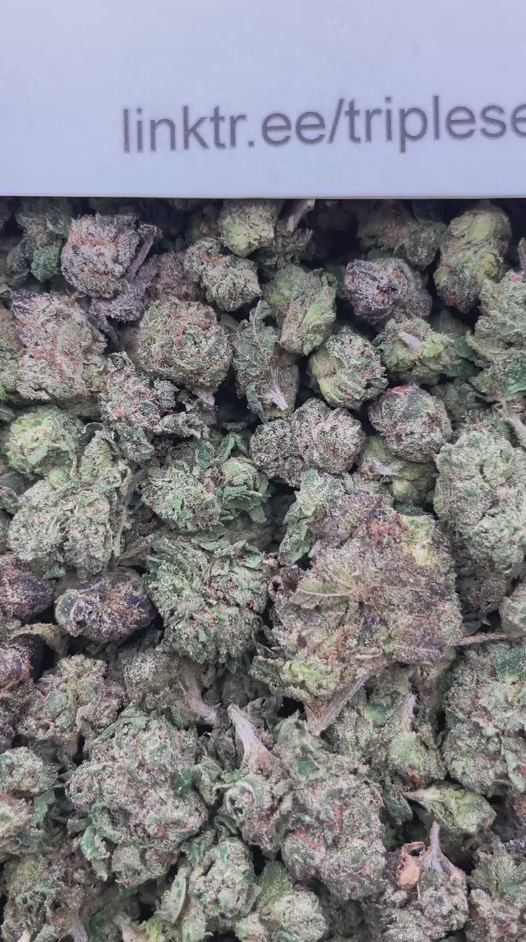 #G39B Cherry Warheads (SMALLS)