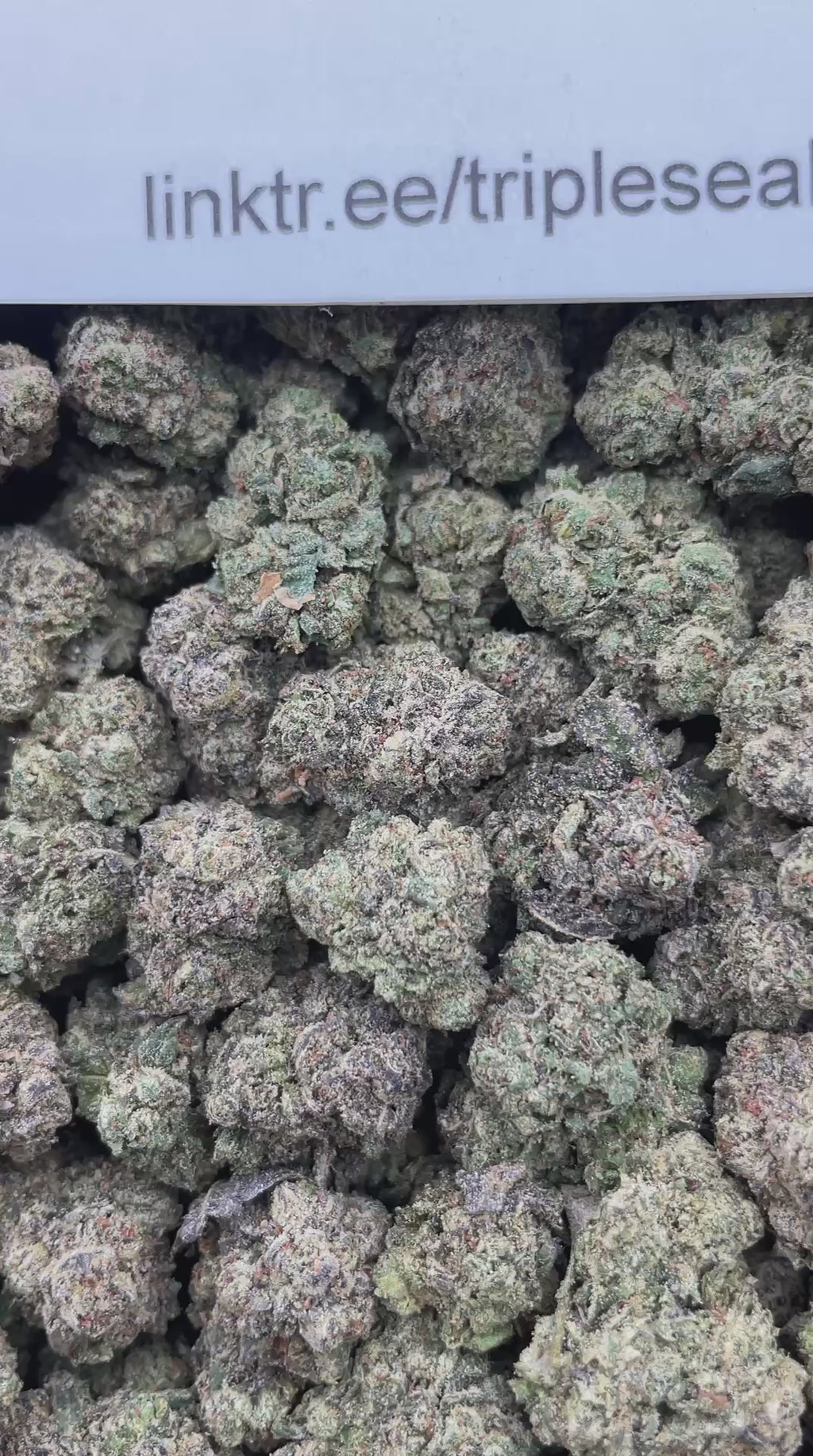 #L3A Joker Candy (MEDIUMS)