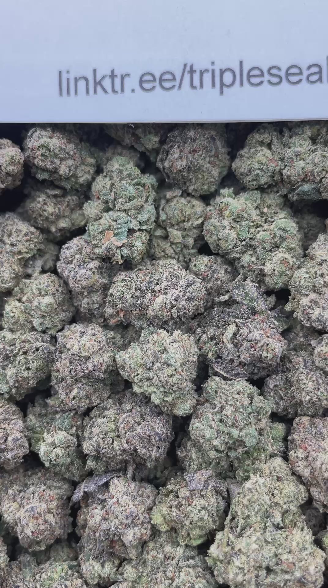 #L3A Joker Candy (MEDIUMS)