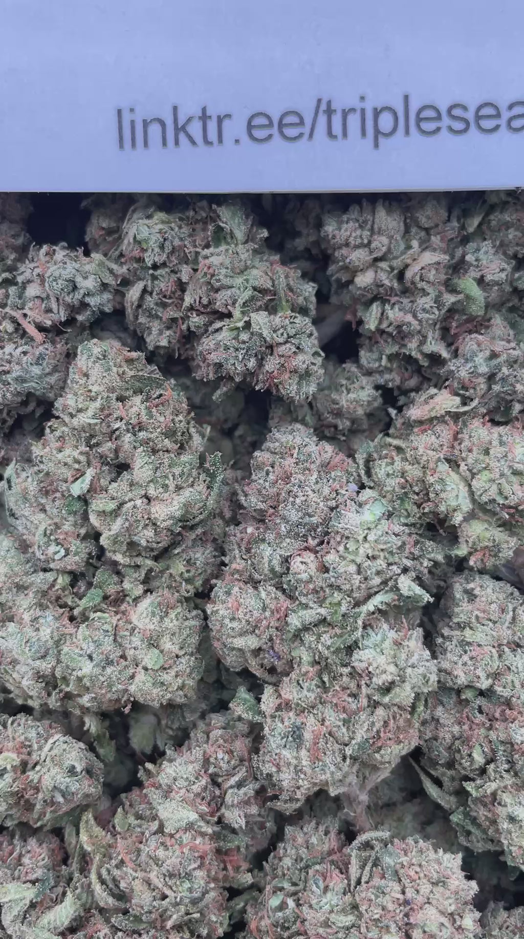 #F6A Sour Strips (DEP)