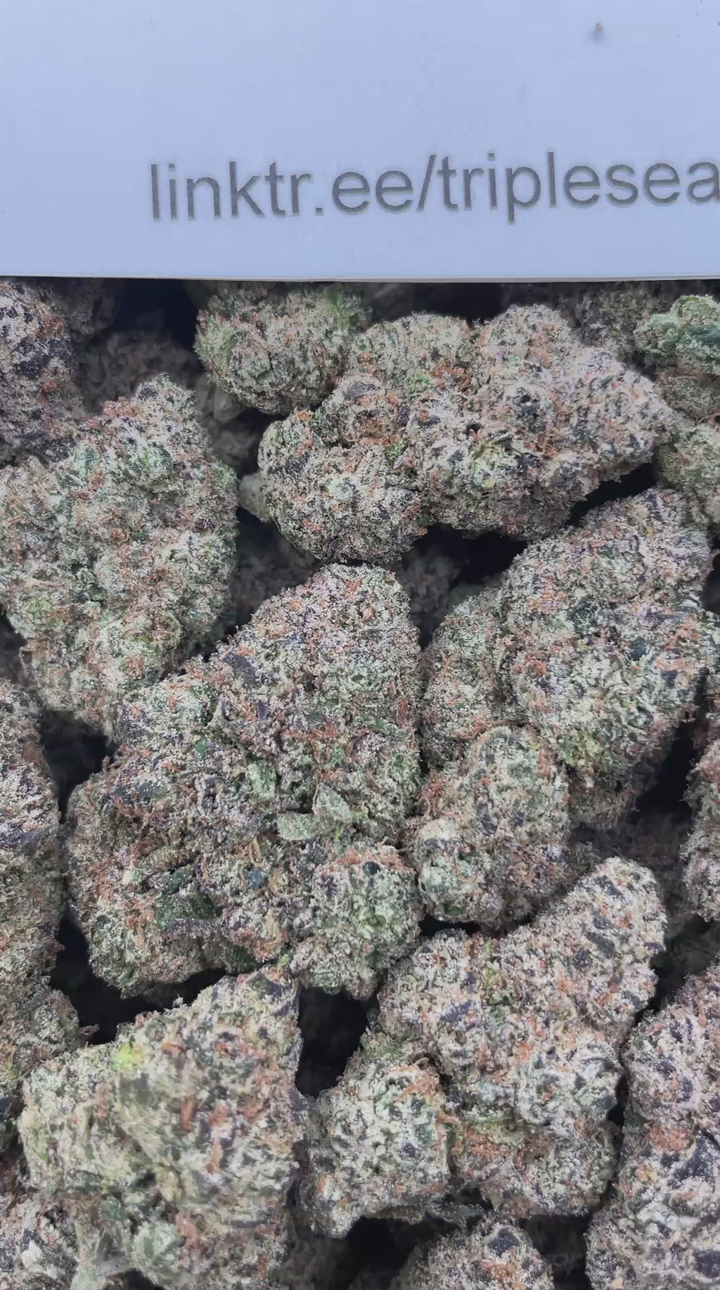 #R57Y Blueberry Taffy (INDOOR) (TERP INFUSED FLOWER)