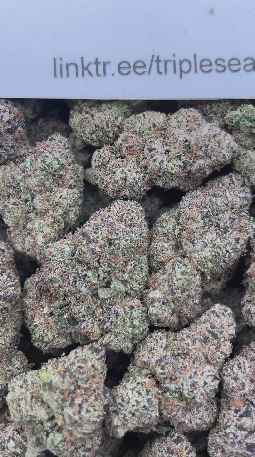 #R57Y Blueberry Taffy (INDOOR) (TERP INFUSED FLOWER)