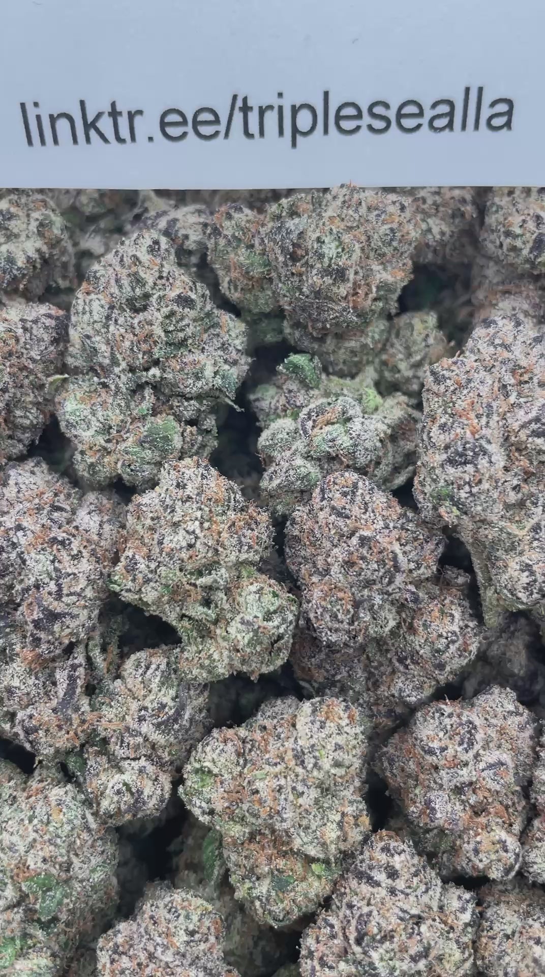#R21Y Blue Razz Gummies (INDOOR) (TERP)