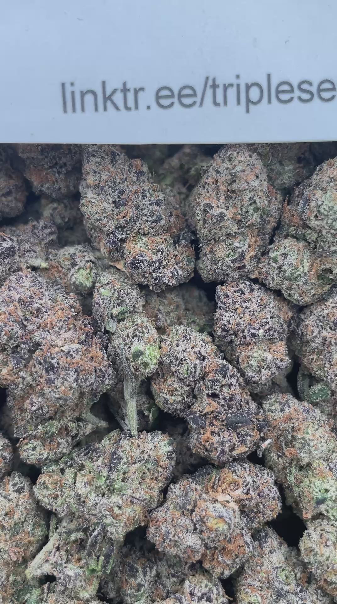 #R58Y Strawberry Poprocks (INDOOR) (TERP INFUSED FLOWER)