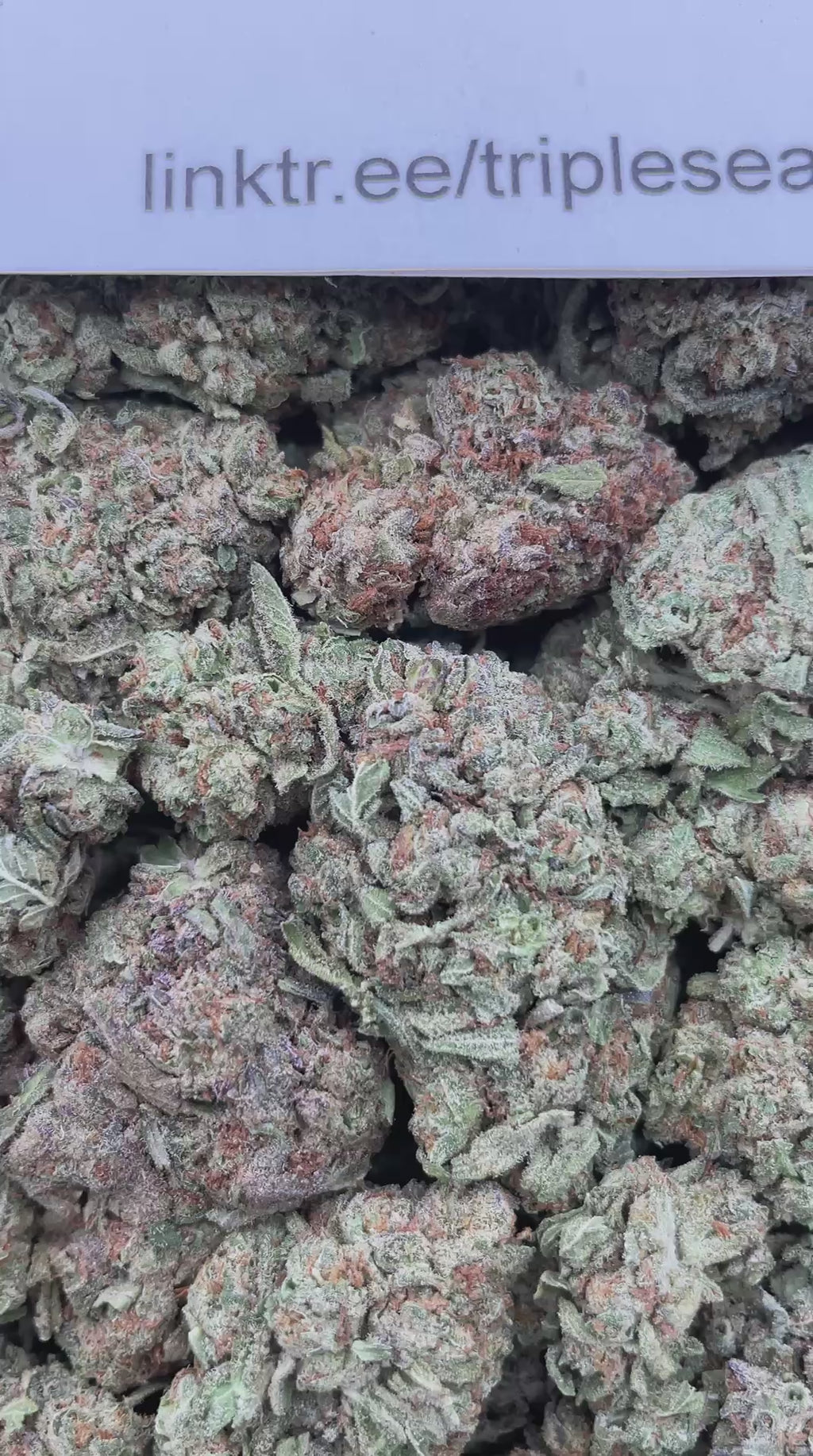 #H30B Gelato Cake (DEP)
