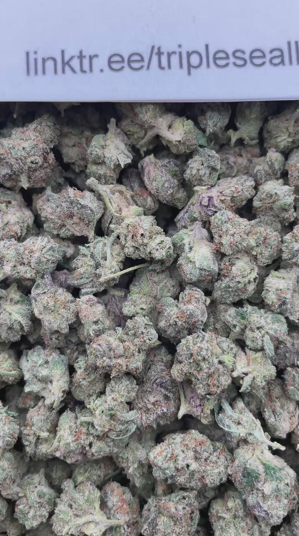 #G18B Zkittles (SMALLS)