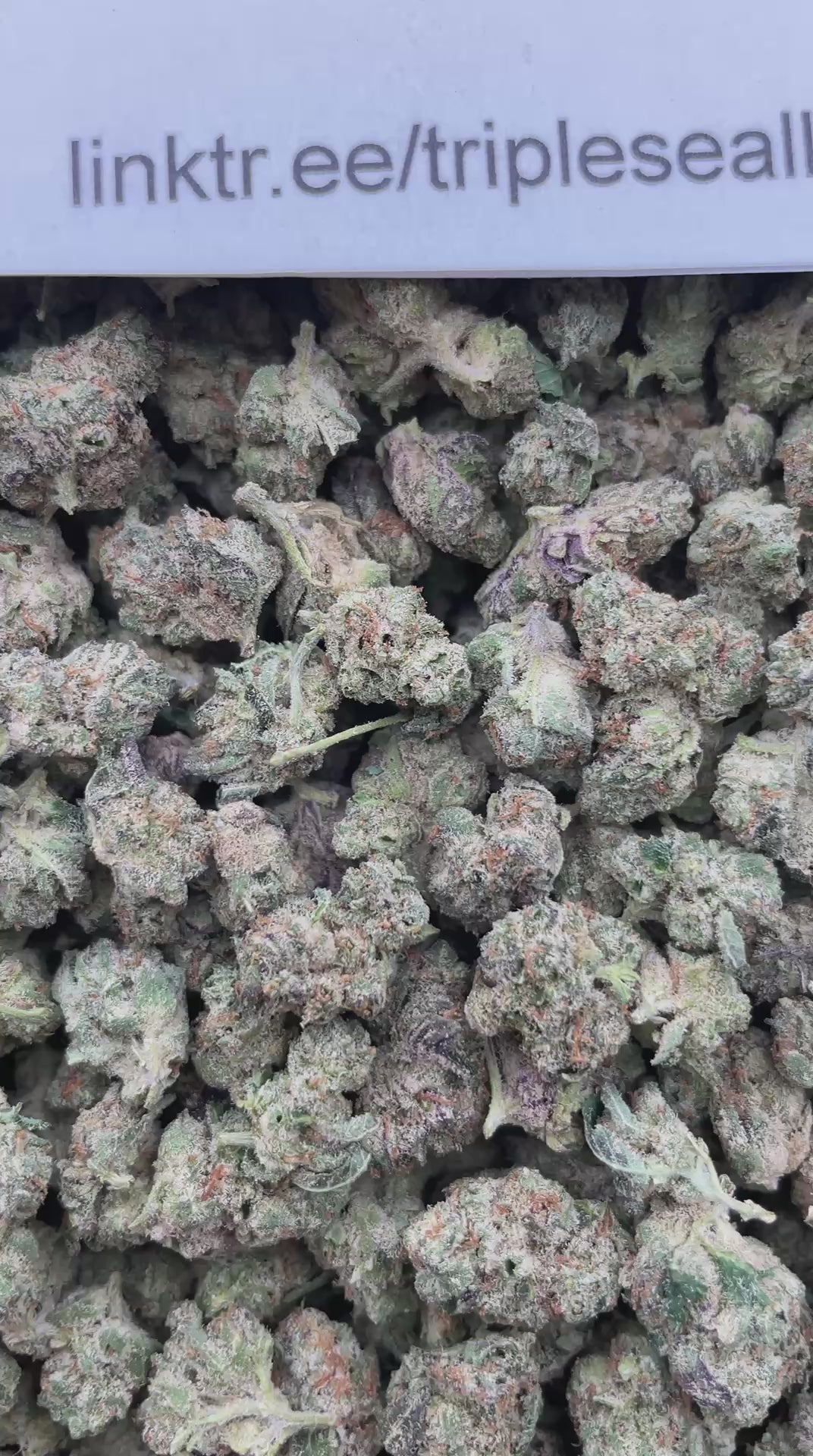 #G18B Zkittles (SMALLS)