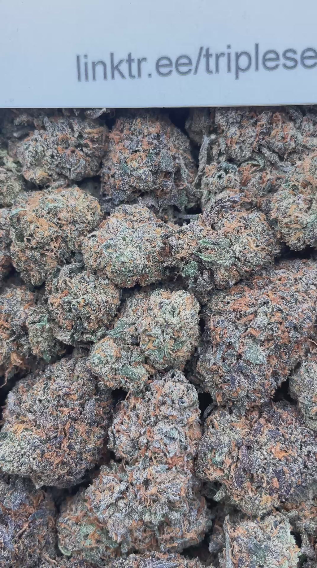 #G17B Runtz Taffy (INDOOR)