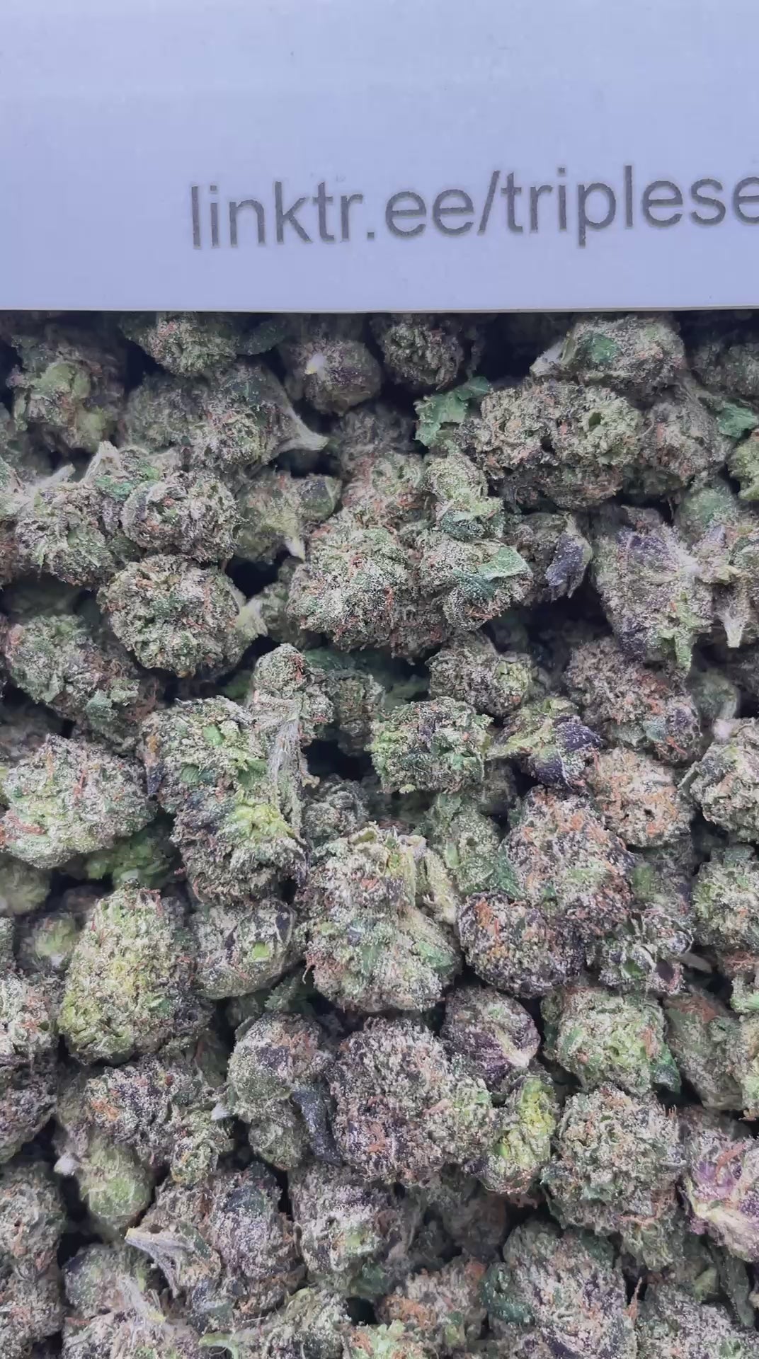 #H18B Zoad Poison (SMALLS)