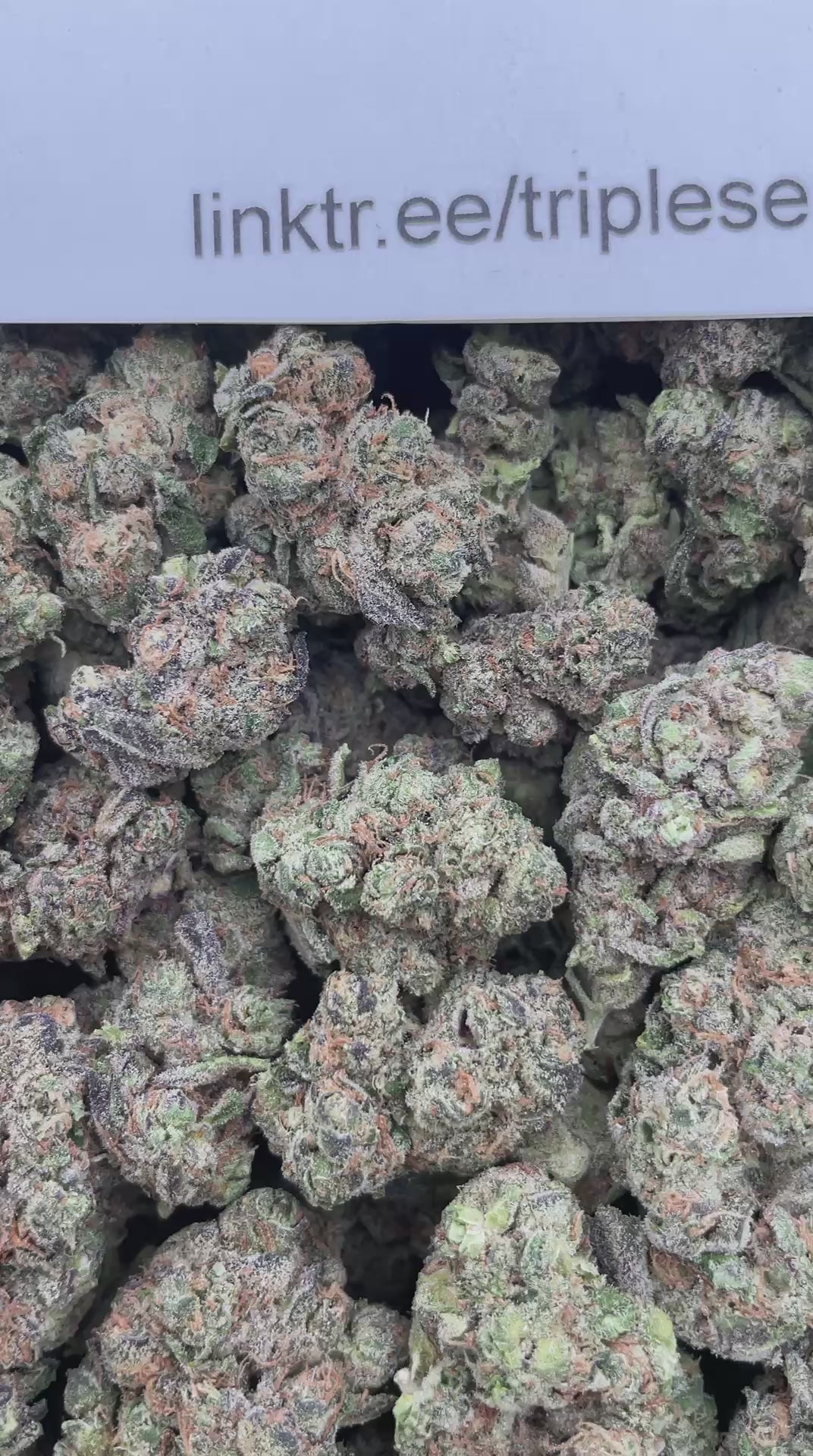 #F15B Cookie Dough (INDOOR)