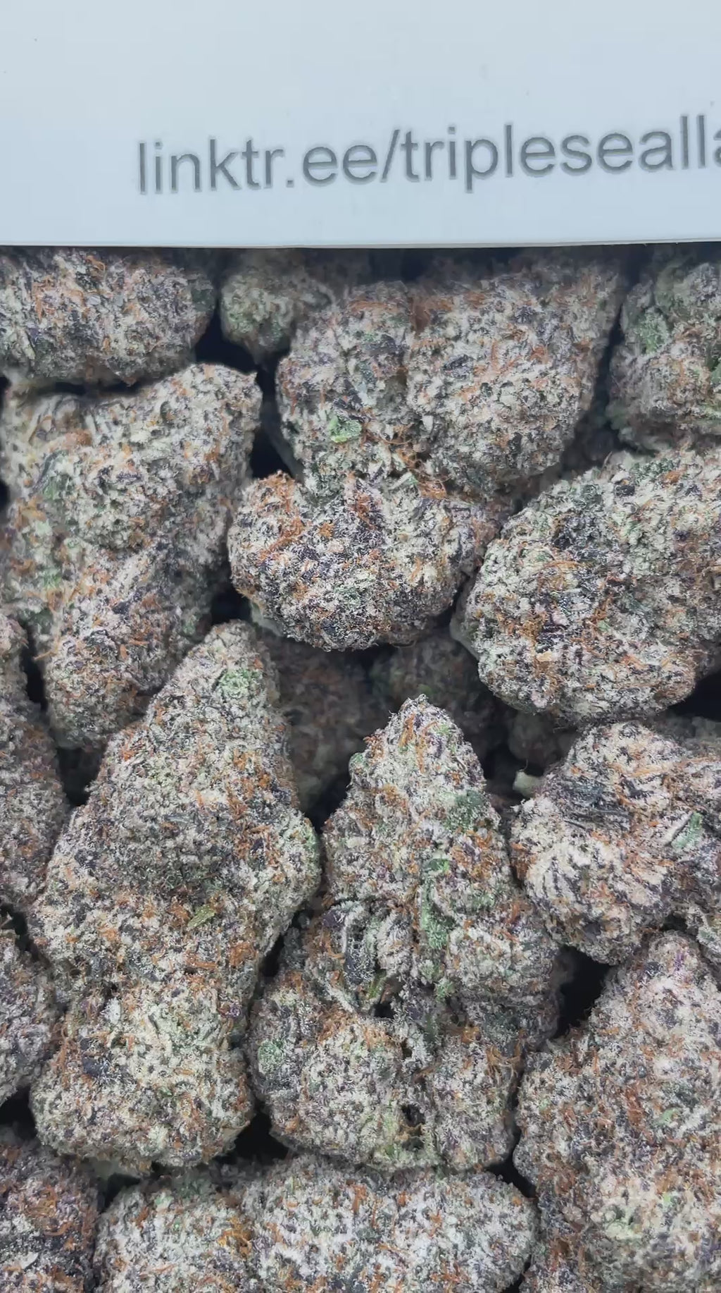 #L23A Yuzu Lemon Cherry Bomb (INDOOR) (LICENSED)