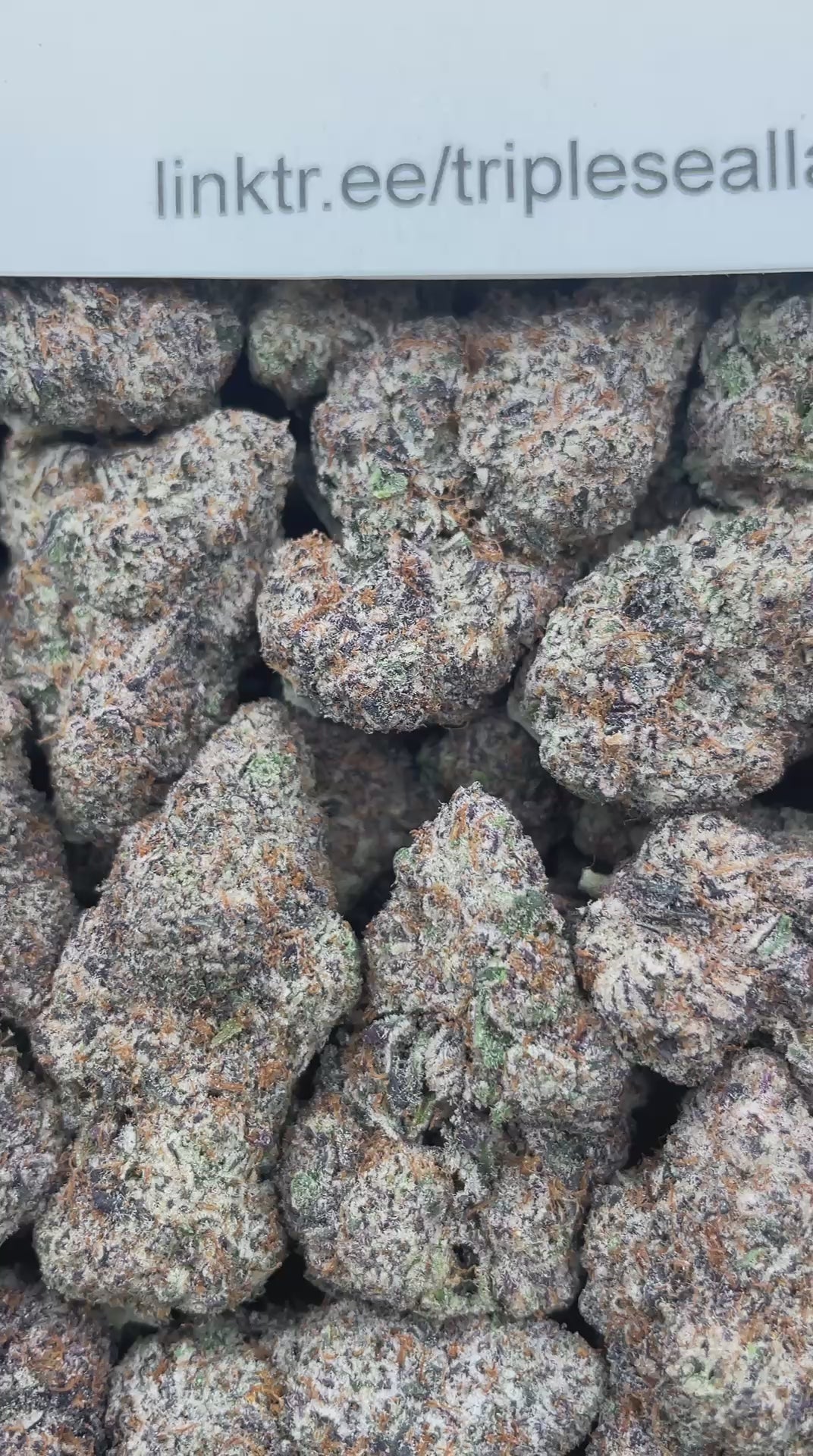 #L23A Yuzu Lemon Cherry Bomb (INDOOR) (LICENSED)