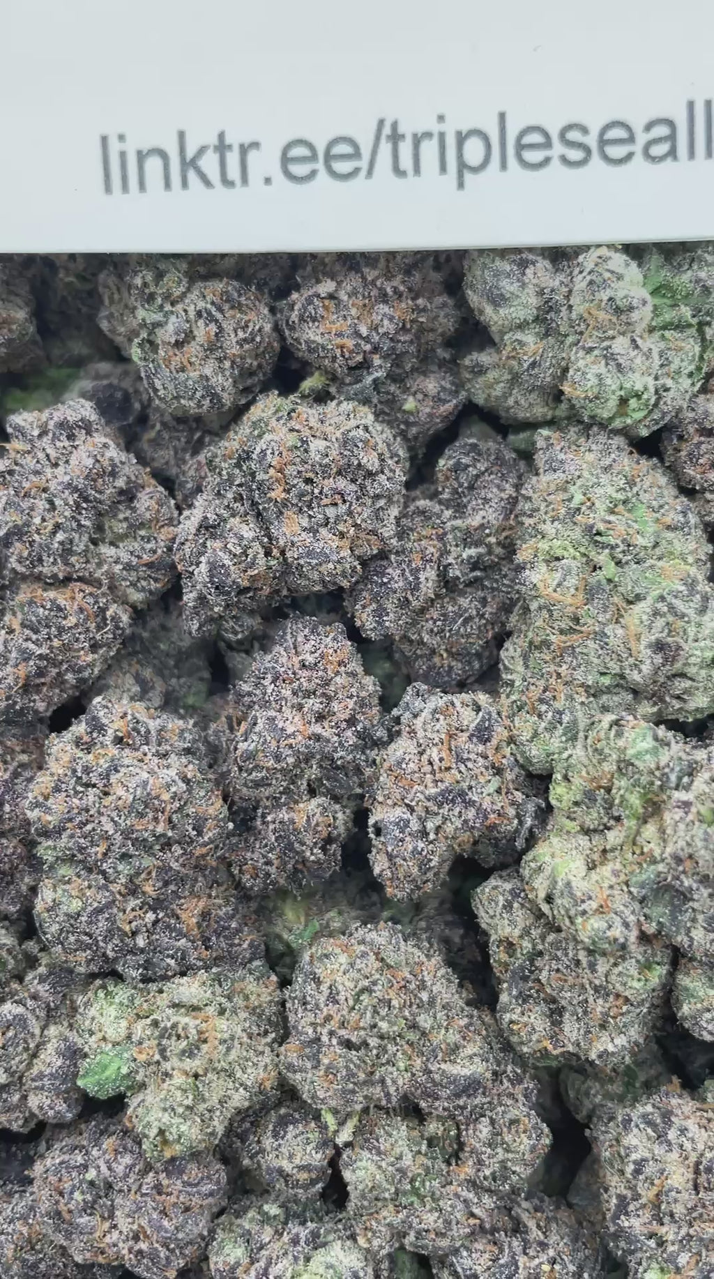 #G4B Blueberry Faygo (INDOOR) (LICENSED)