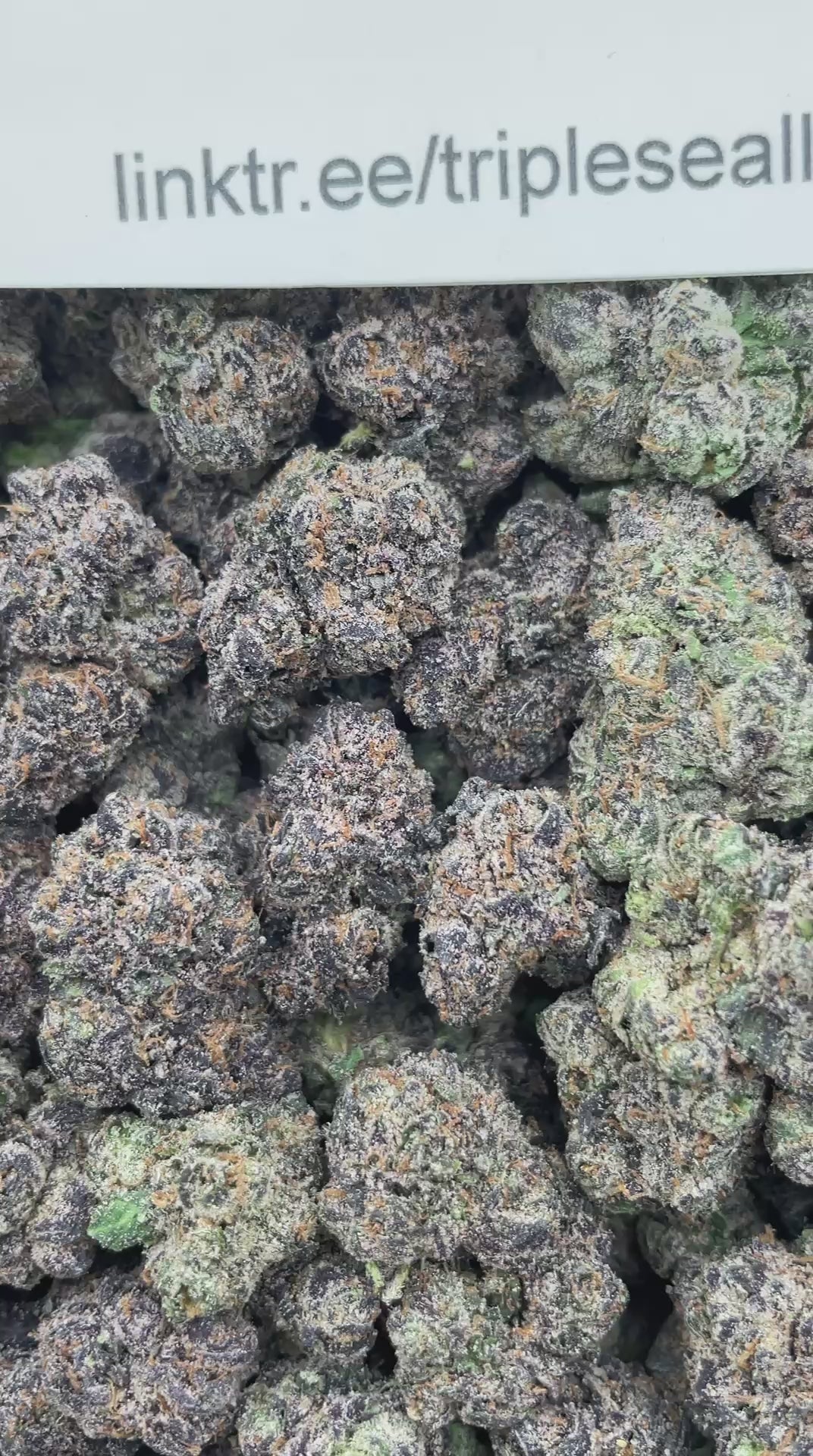 #G4B Blueberry Faygo (INDOOR) (LICENSED)
