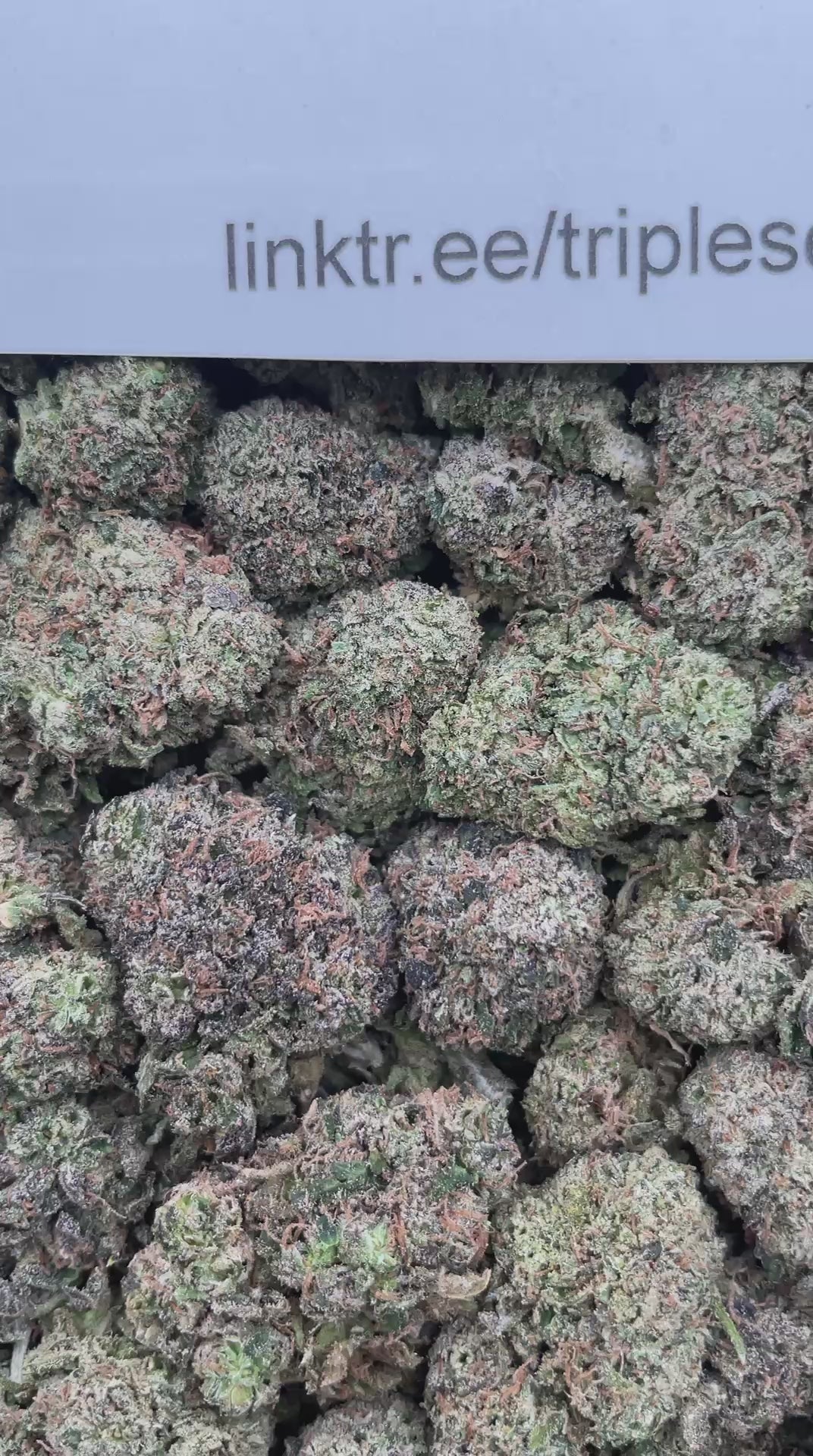#G27C Green Goblin (INDOOR)