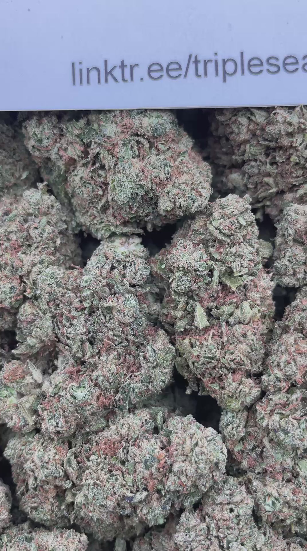 #E25A Cherry Warheads (DEP)