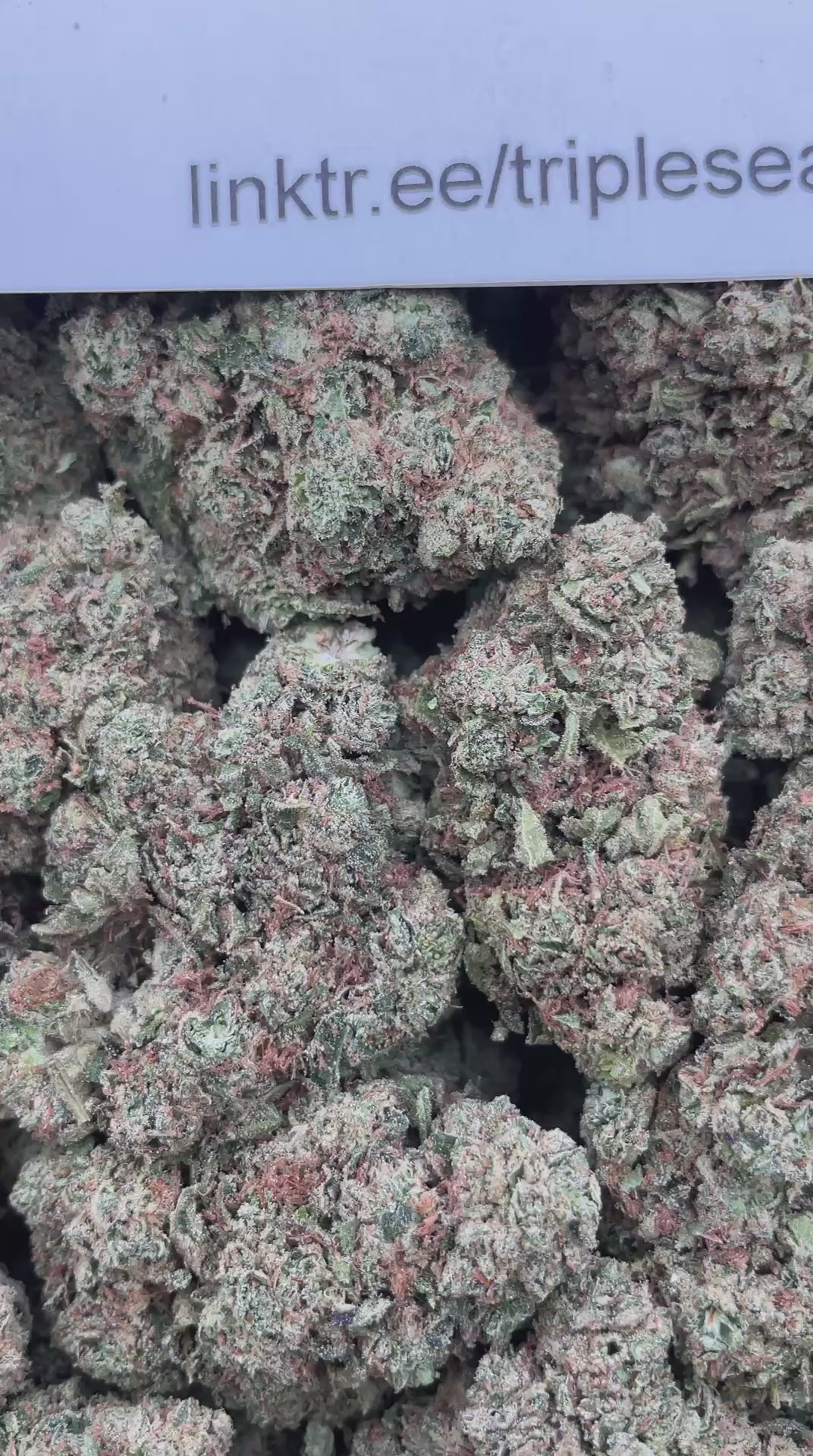 #E25A Cherry Warheads (DEP)