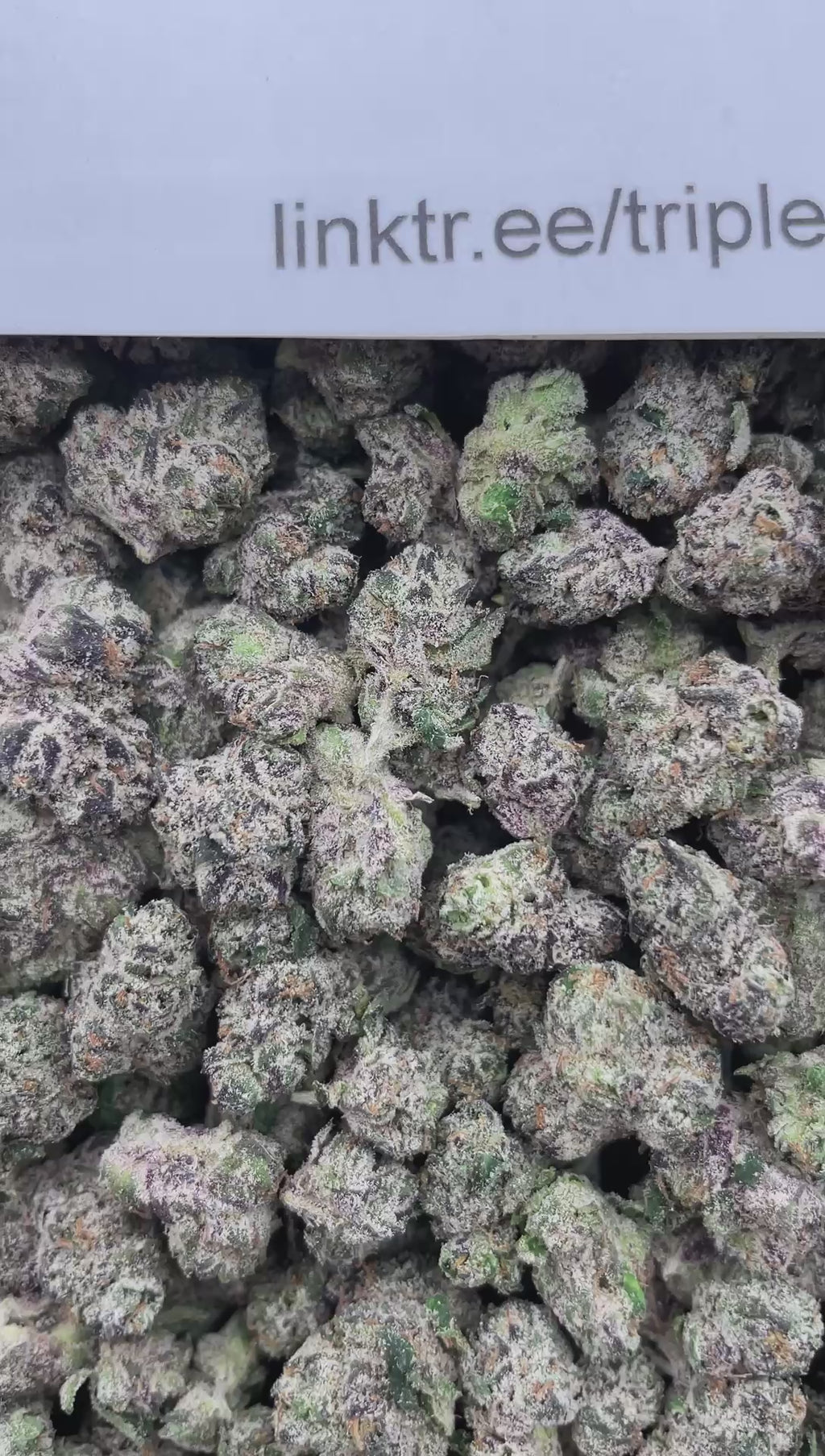 #E33A Candy Nitro (SMALLS) (LICENSED)