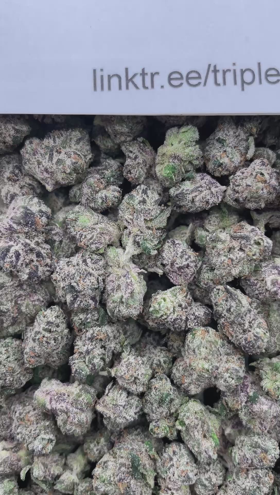 #E33A Candy Nitro (SMALLS) (LICENSED)