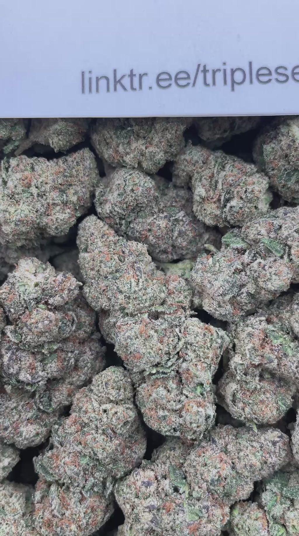 #F13B Sour Dubble X Tahoe Alien (INDOOR)