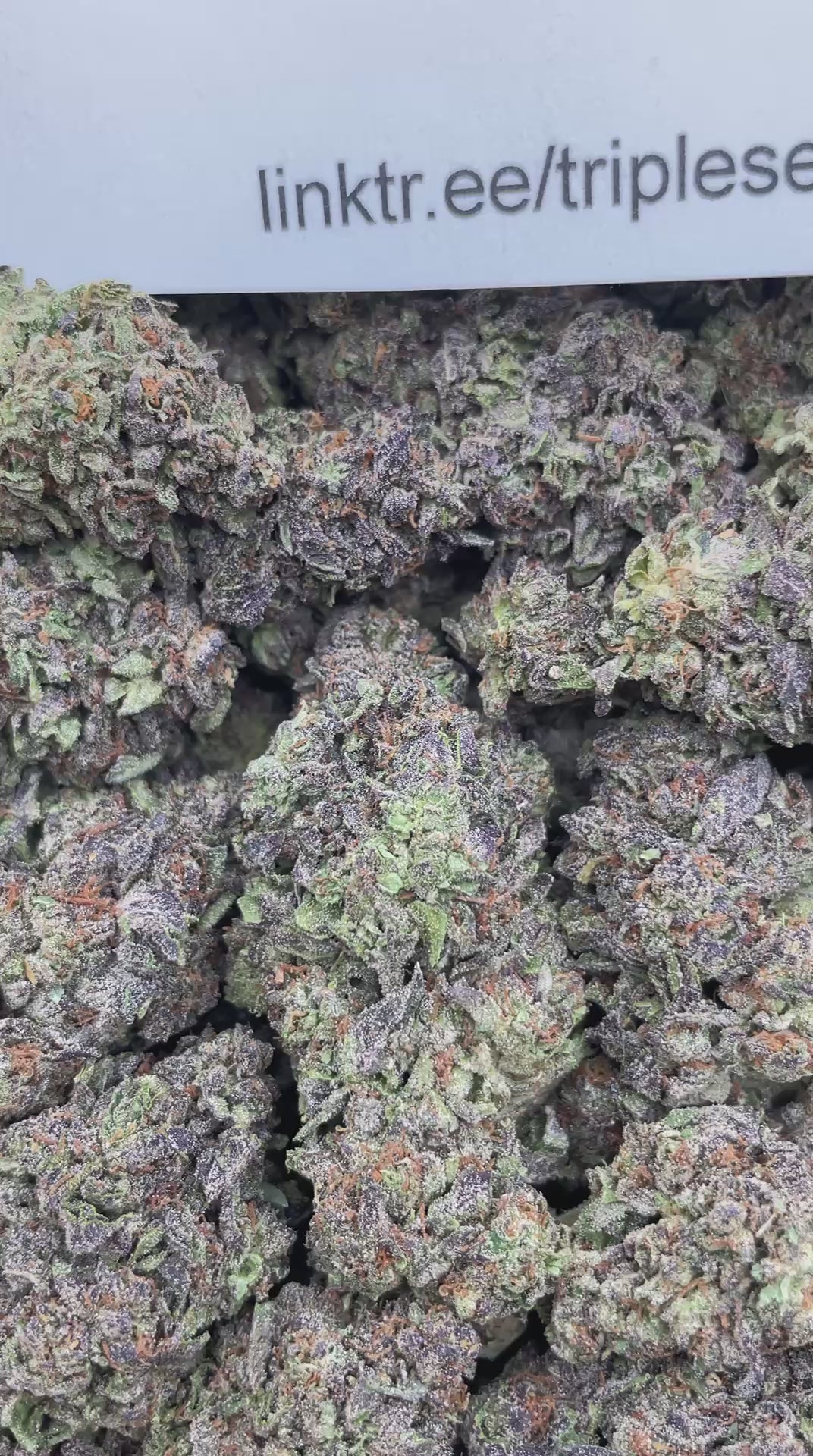 #E20C Galactic Cakez (MIXED LIGHT)