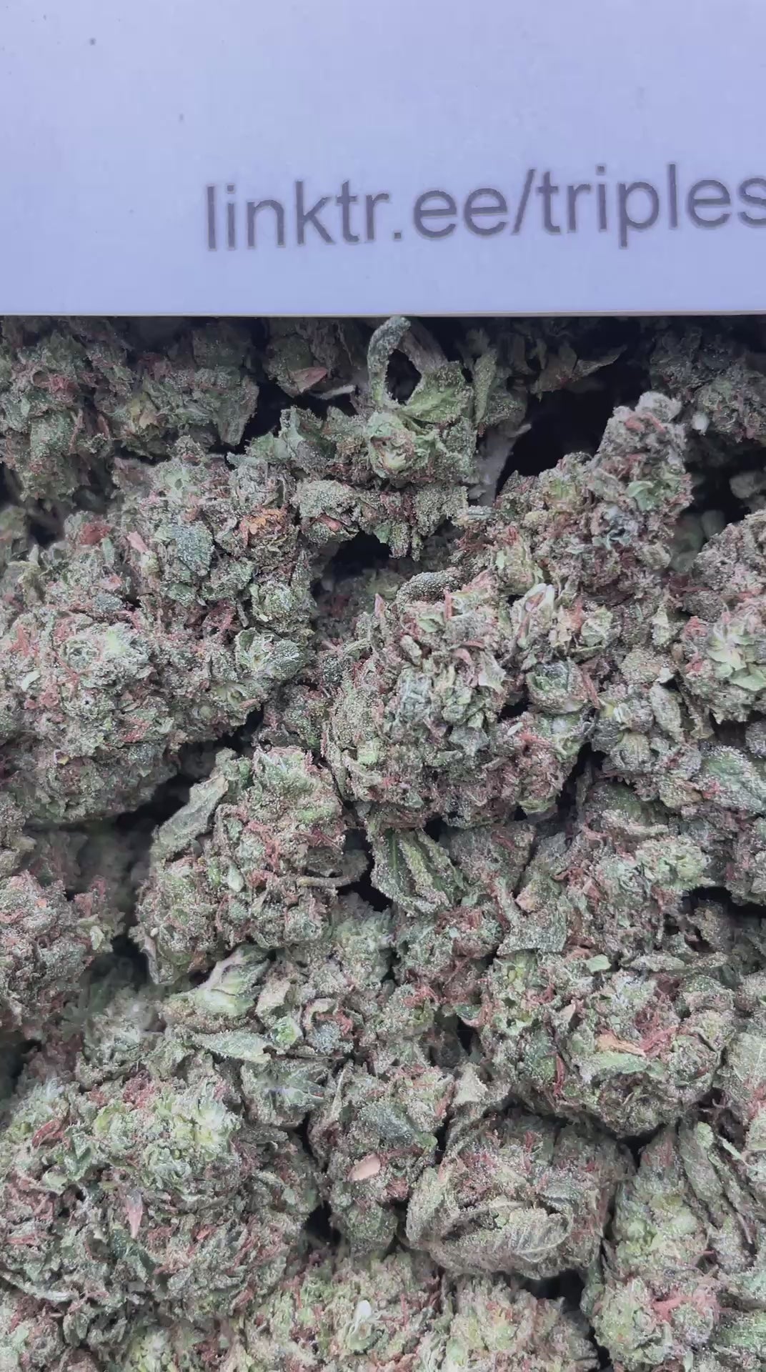 #E8A Cherry Taffy (DEP)