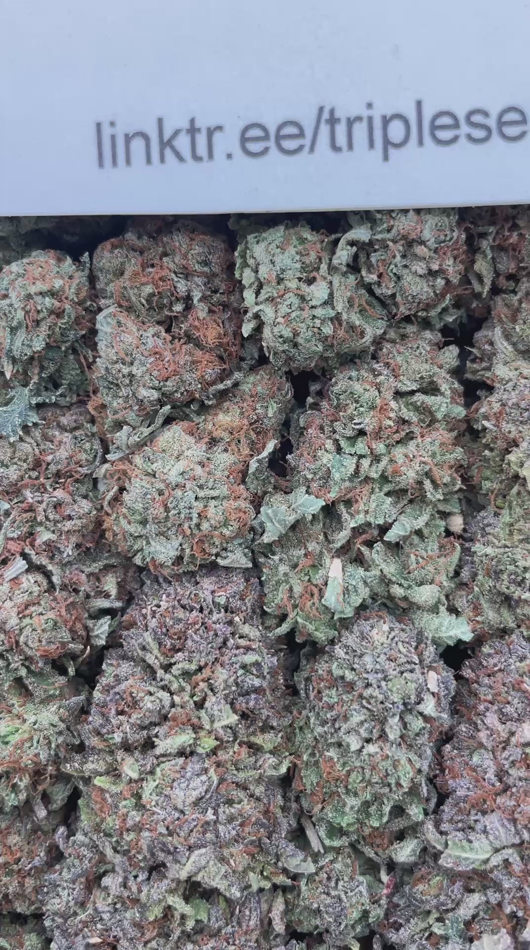 #H20B Bubba Box (INDOOR)