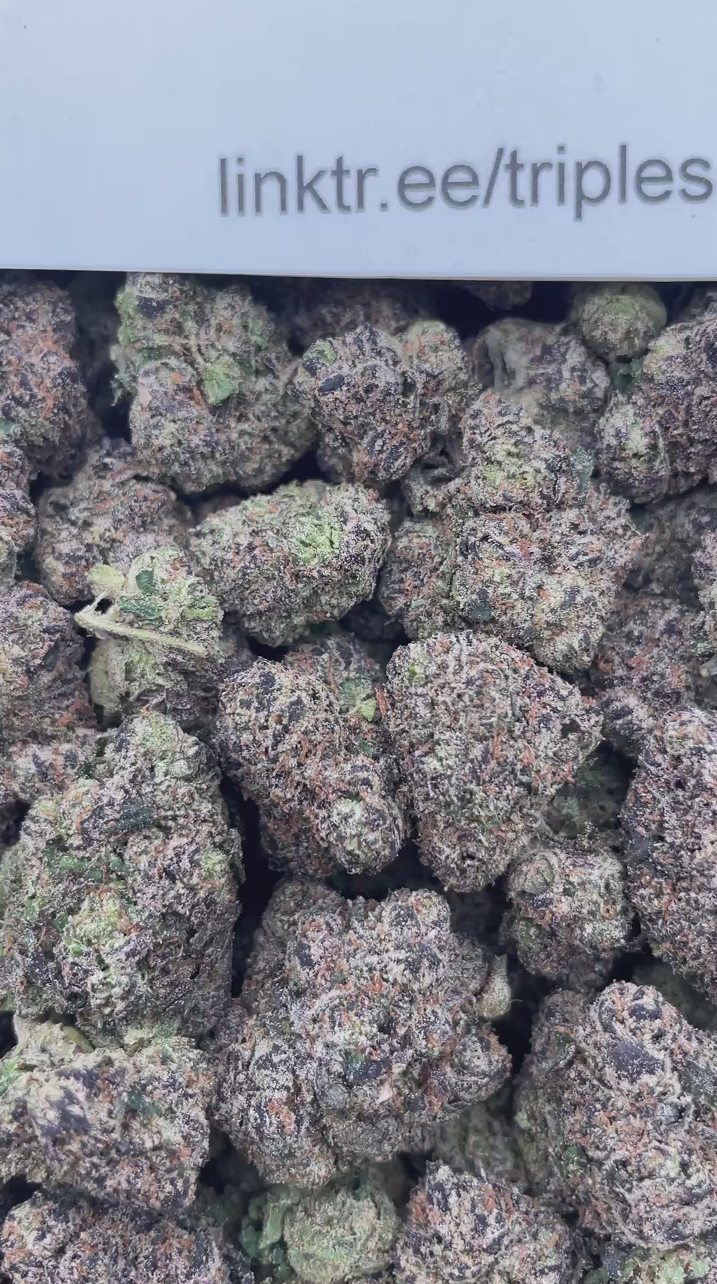 #R90T Sour Patch Glow Ups (INDOOR) (TERP INFUSED FLOWER)