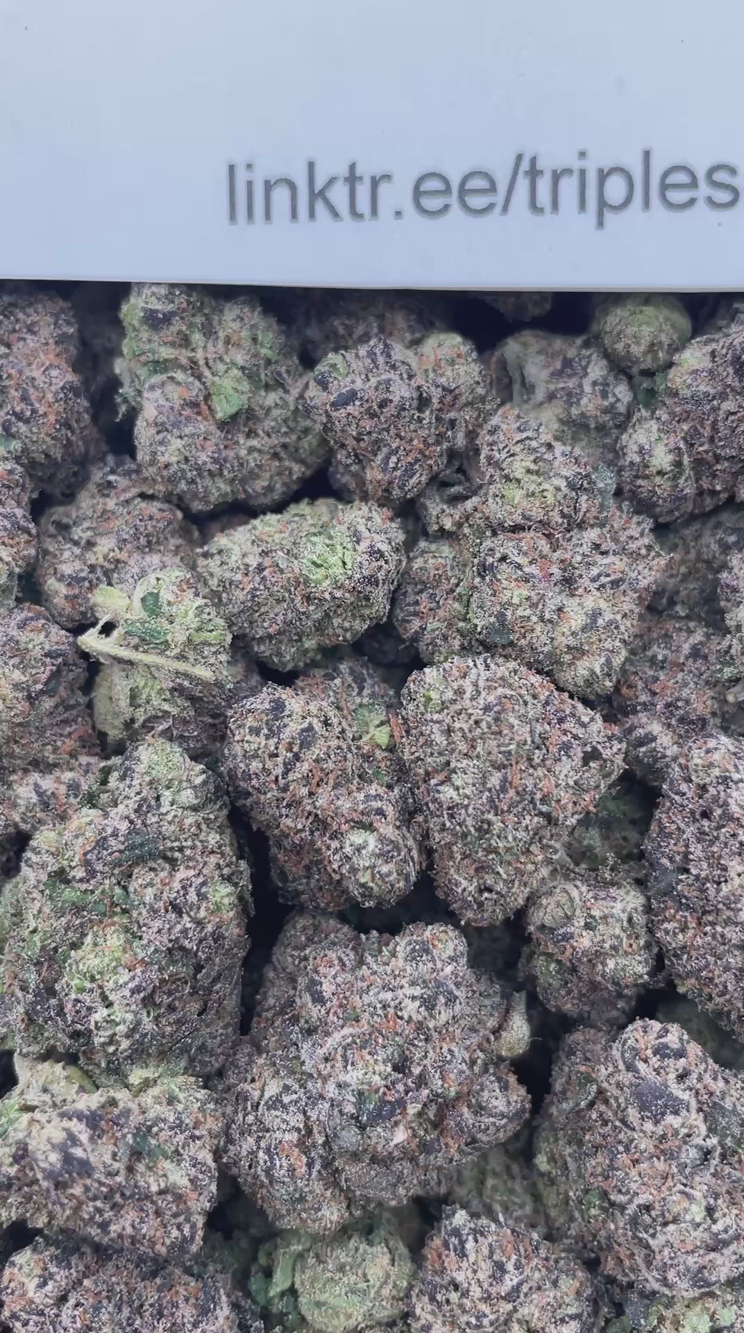 #R90T Sour Patch Glow Ups (INDOOR) (TERP INFUSED FLOWER)