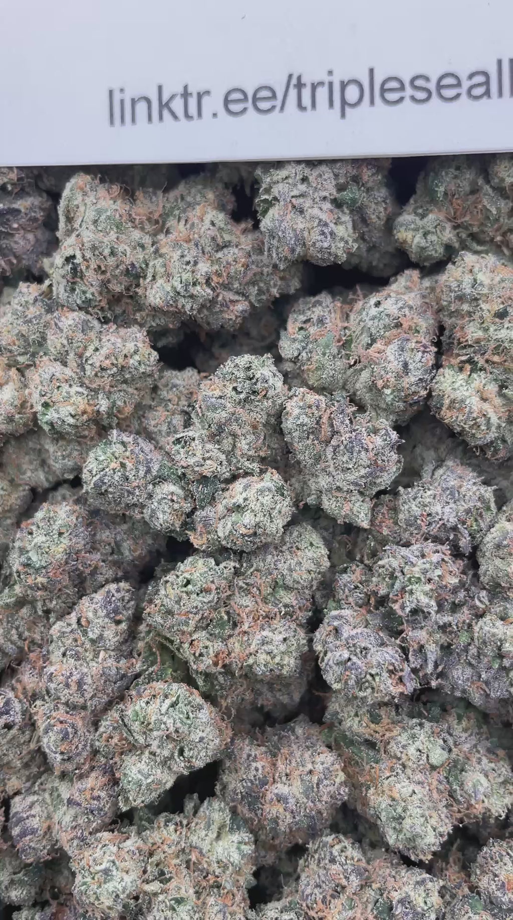 #G32A Money Over Bitches (EXOTIC)