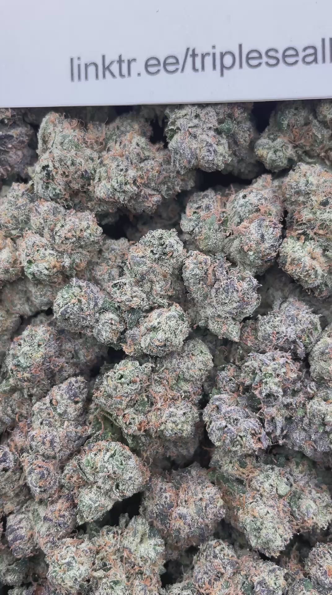#G32A Money Over Bitches (EXOTIC)