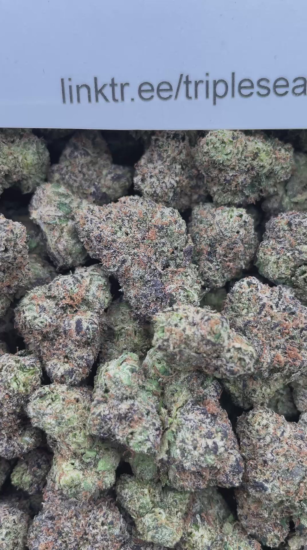 #R87Y Blue Raspberry Rings (INDOOR) (TERP INFUSED FLOWER)