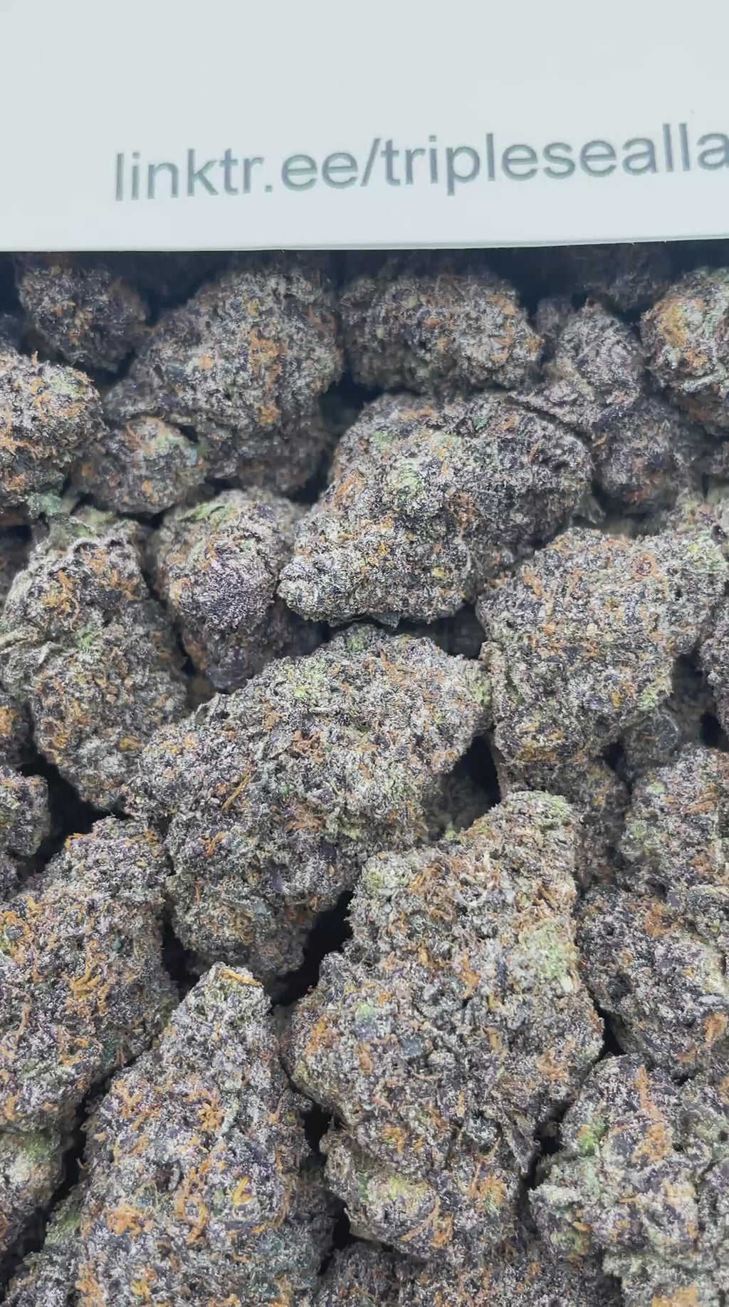 #L7B Galaxy Cherry Runtz (INDOOR)