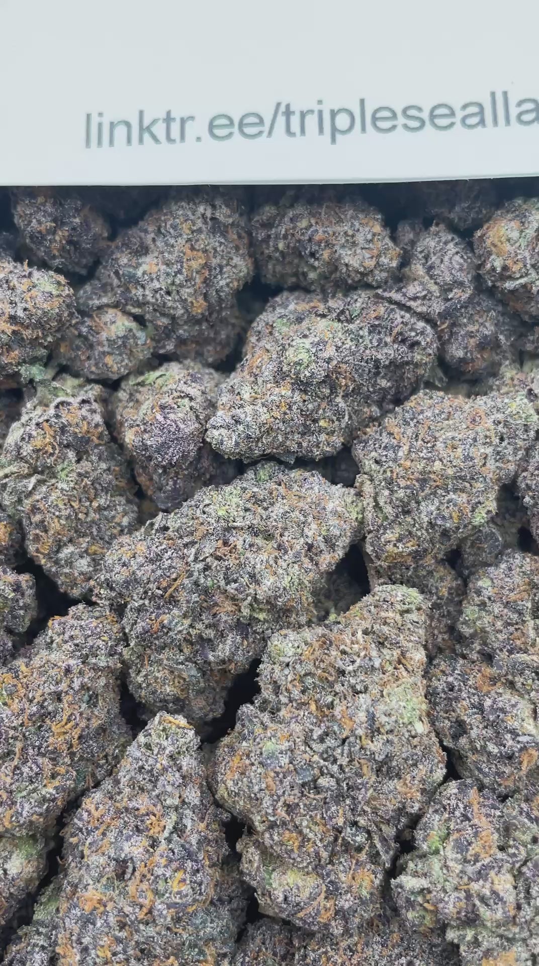 #L7B Galaxy Cherry Runtz (INDOOR)